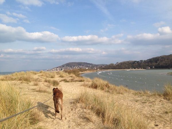 Cabourg Bran walking along sand dunes sunny day